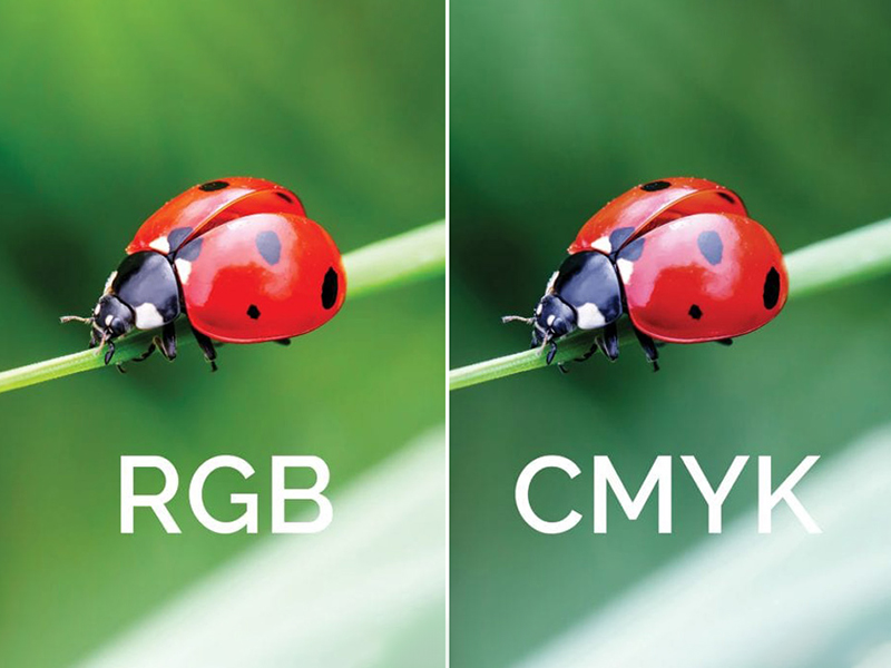 RGB và CMYK khác nhau như thế nào trong thiết kế và in ấn?